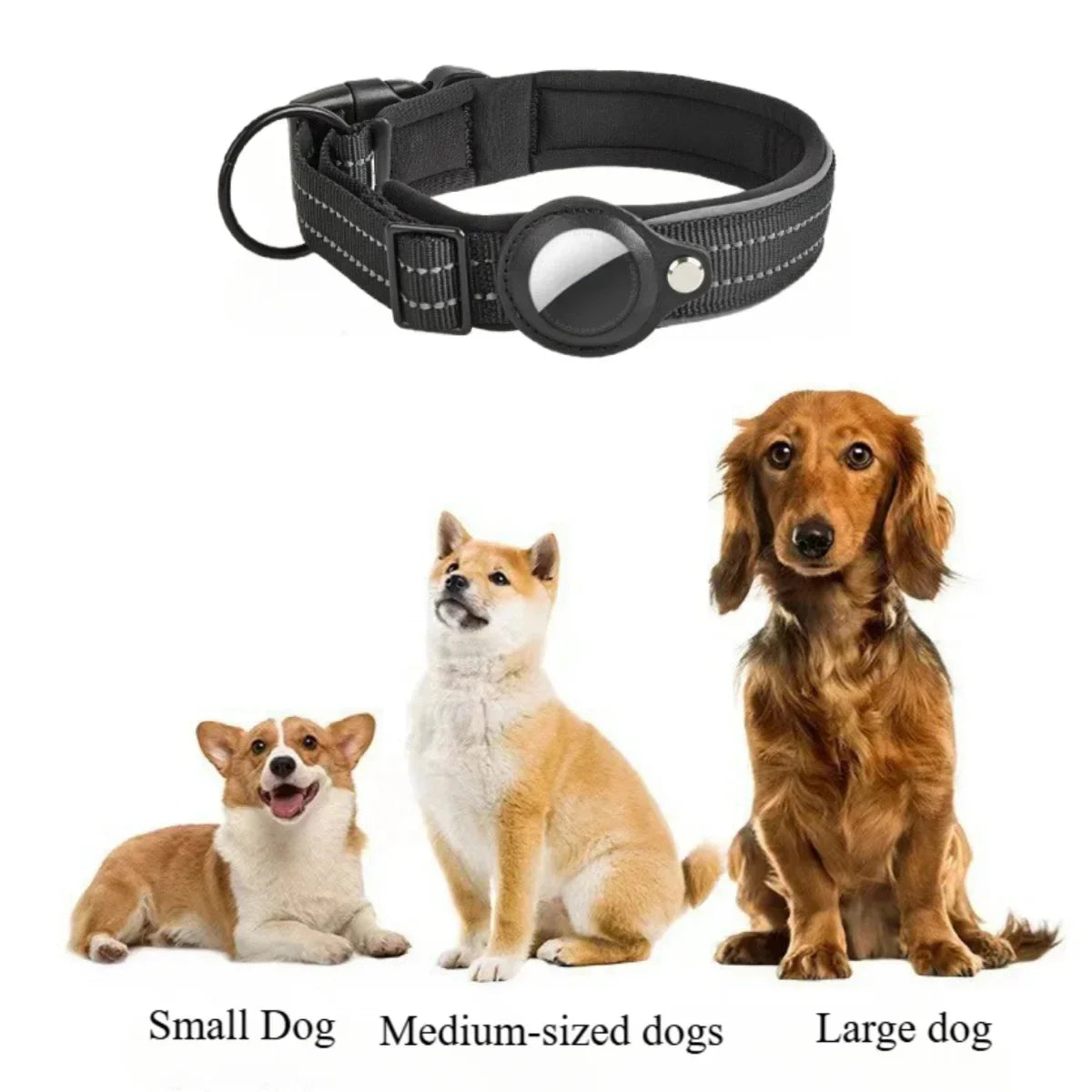 Reflective Padded Dog Collar with Airtag Holder - Adjustable for Small, Medium, and Large Dogs